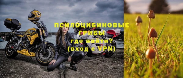 СК Арсеньев