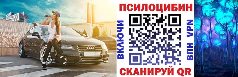 площадка телеграм  Прохладный  Псилоцибиновые грибы мицелий 